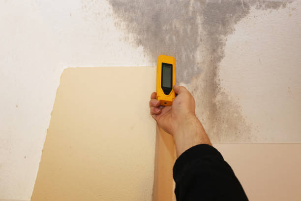Best Industrial Mold Remediation  in John Day, OR